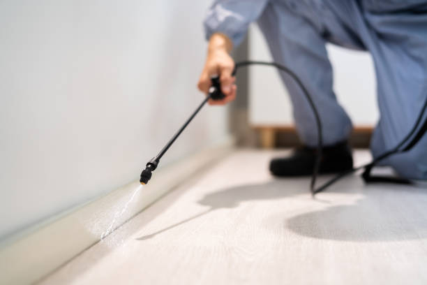 Licensed Wasp Removal service in Vestavia Hills, AL - Show Me Pest Control