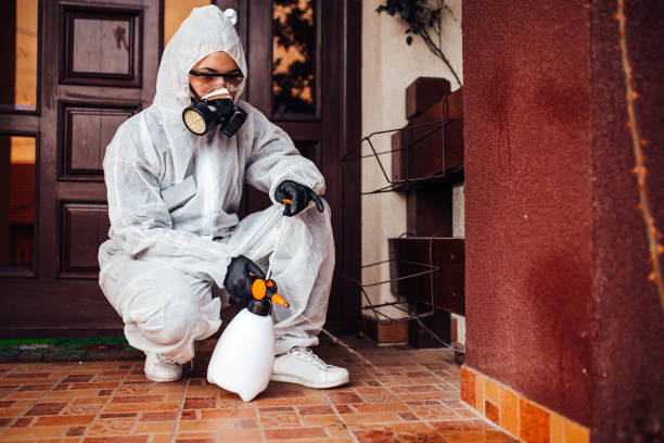 Reliable Wasp Removal contractor in Vestavia Hills, AL by Show Me Pest Control