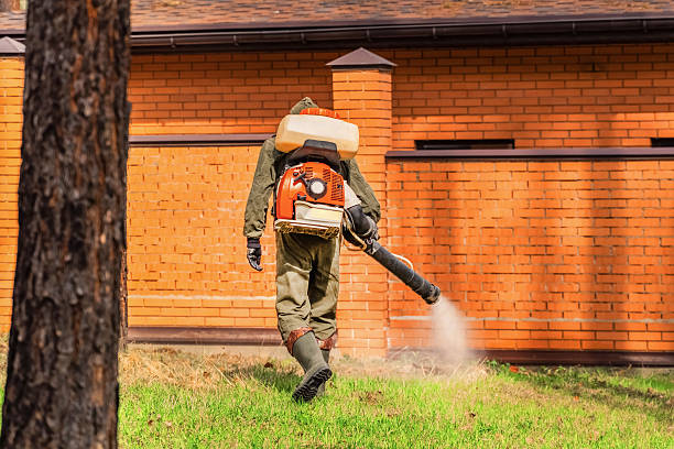 Top rated local Wasp Removal specialists in Vestavia Hills, AL